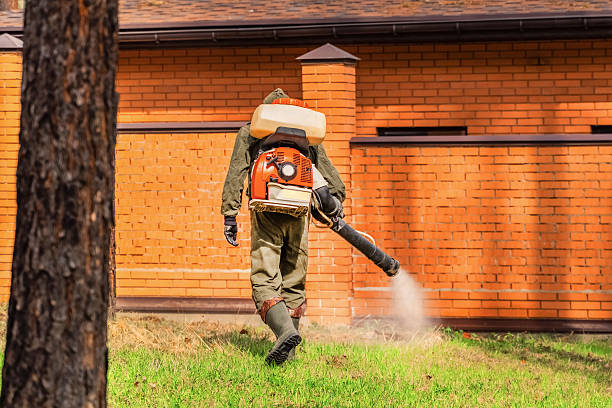 Trusted Bed Bug Control service in Black Diamond, WA - Nex Pest Control